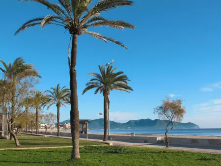 Appartement 3 chambres Cala Millor, 200 m plage : photo 24