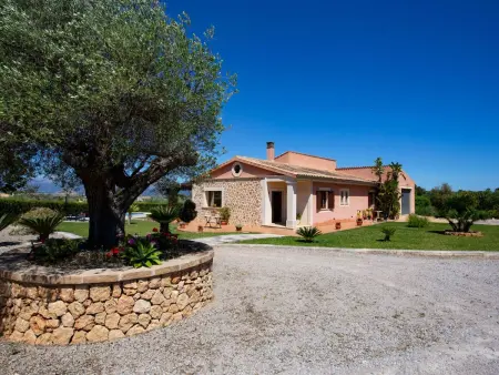 Finca Oliveres – Maison 4 pers. avec 320 oliviers : photo 6