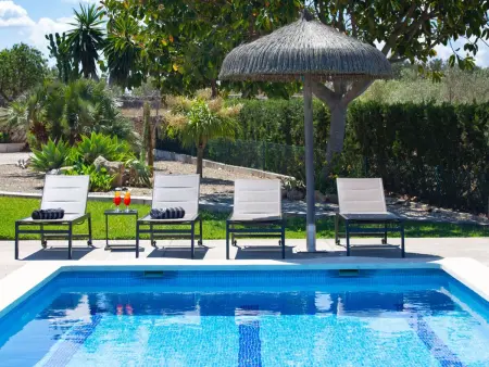 Finca Oliveres – Maison 4 pers. avec 320 oliviers : photo 10