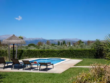 Finca Oliveres – Maison 4 pers. avec 320 oliviers : photo 14