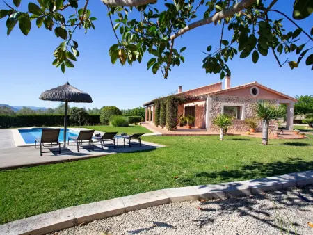 Finca Oliveres – Maison 4 pers. avec 320 oliviers : photo 15