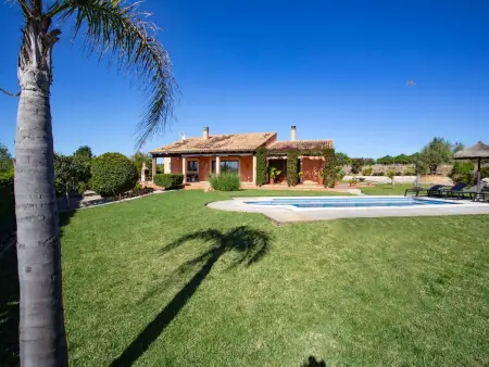 Finca Oliveres – Maison 4 pers. avec 320 oliviers : photo 16