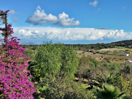 Finca Mallorca Muro, manoir du XIXe siècle : photo 5