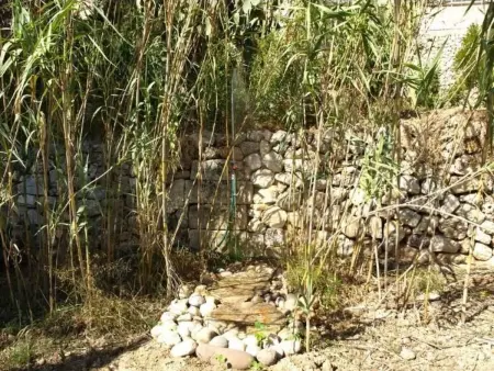 Finca Mallorca Muro, manoir du XIXe siècle : photo 25