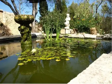 Finca Mallorca Muro, manoir du XIXe siècle : photo 26