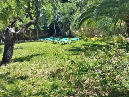 Finca Mallorca Muro, manoir du XIXe siècle : photo 29