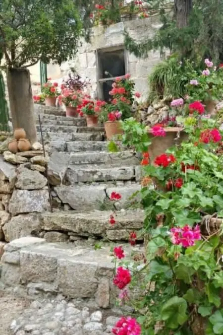 Finca Mallorca Muro, manoir du XIXe siècle : photo 31