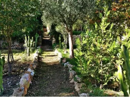 Finca Mallorca Muro, manoir du XIXe siècle : photo 34