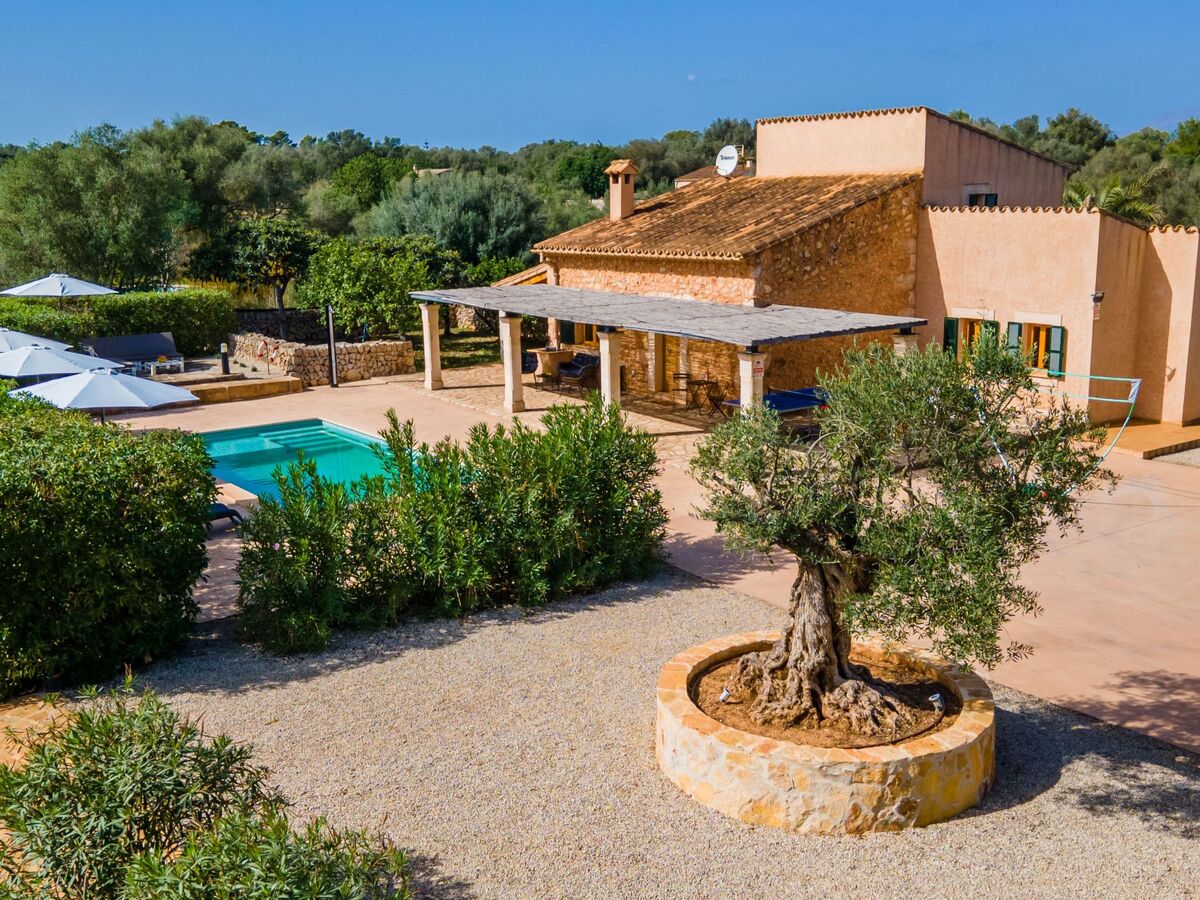Casa BINITAREF, Finca moderne avec piscine à Sineu - Photo 35