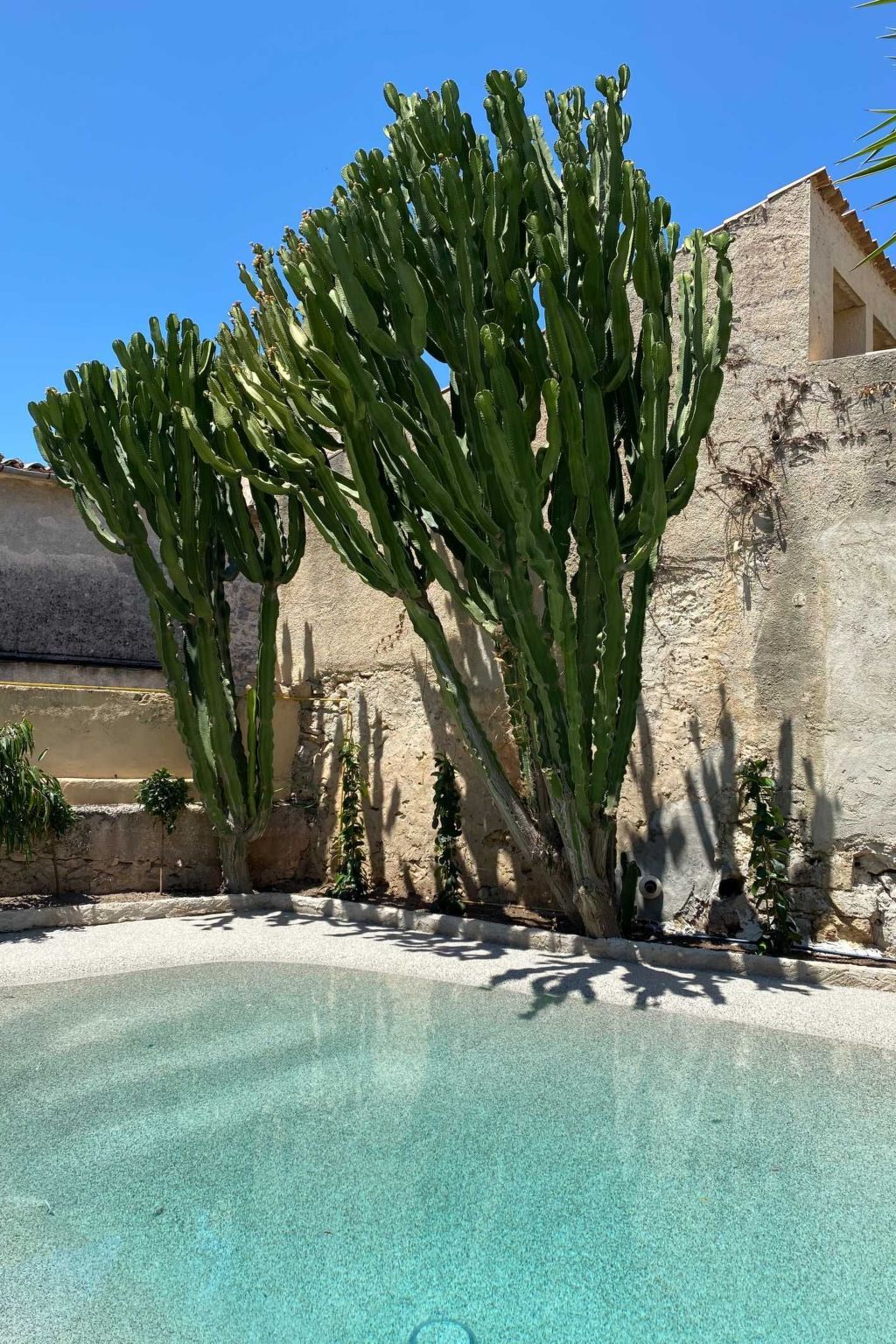 Villa El León de Sineu – Maison 10 chambres, 21 personnes - Photo 4