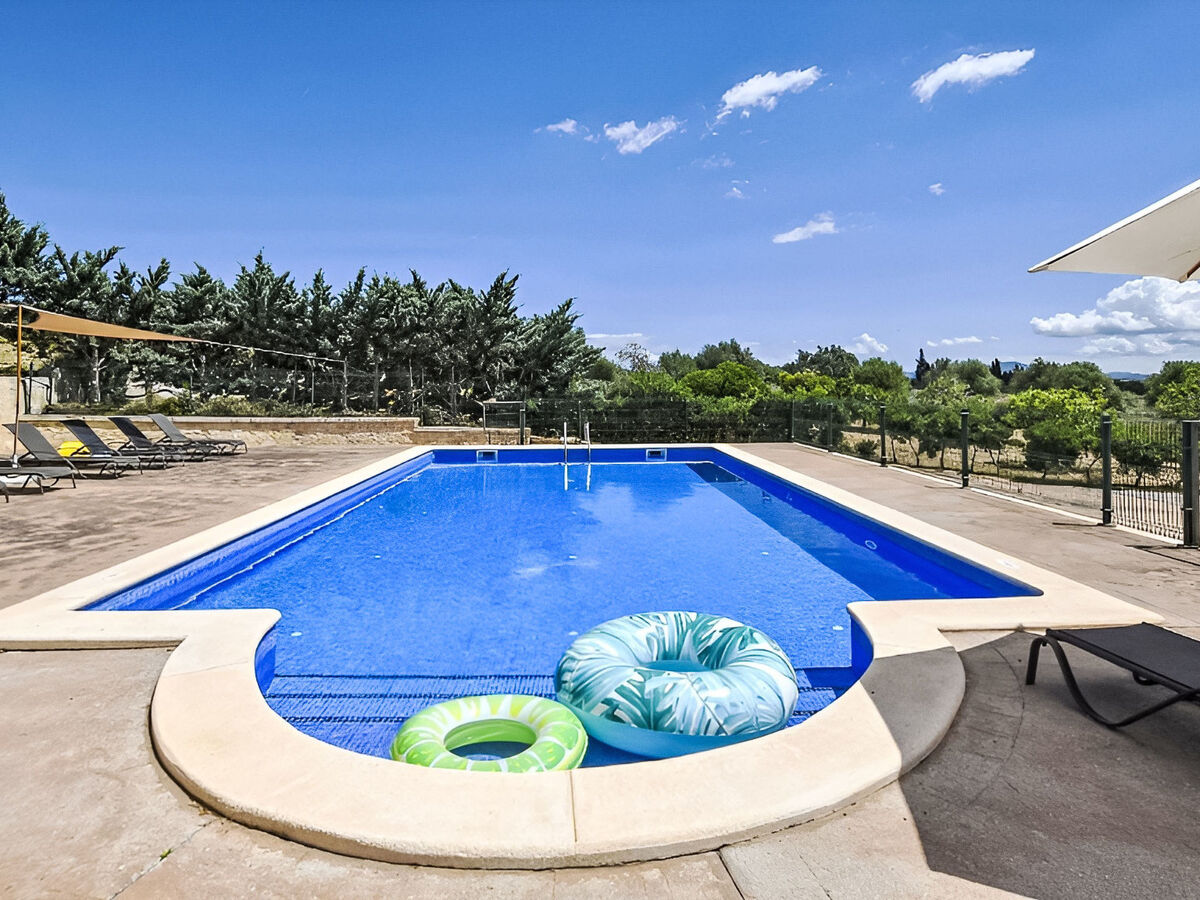 Finca 6 chambres avec piscine 12x6m à María de la Salut - Photo 3