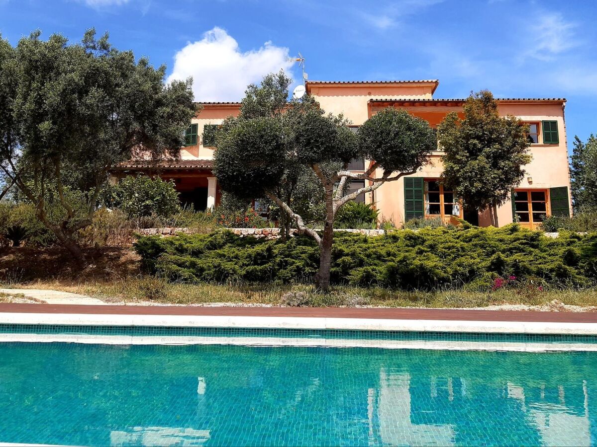 Finca Mallorquina à Son Serra de Marina, 210 000 m² de terrain - Photo 2