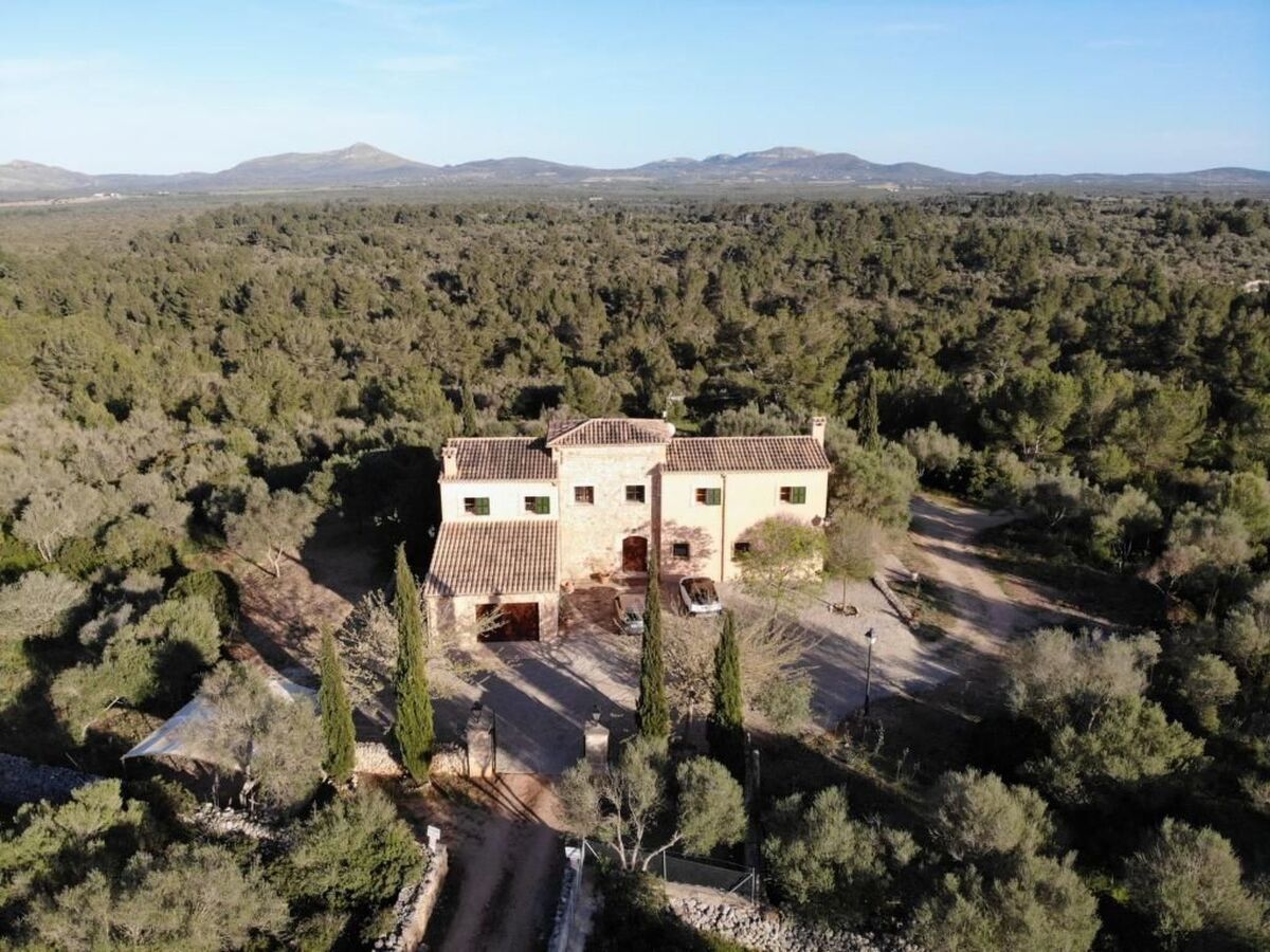 Finca Mallorquina à Son Serra de Marina, 210 000 m² de terrain - Photo 3