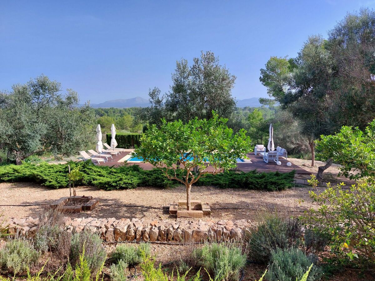 Finca Mallorquina à Son Serra de Marina, 210 000 m² de terrain - Photo 4