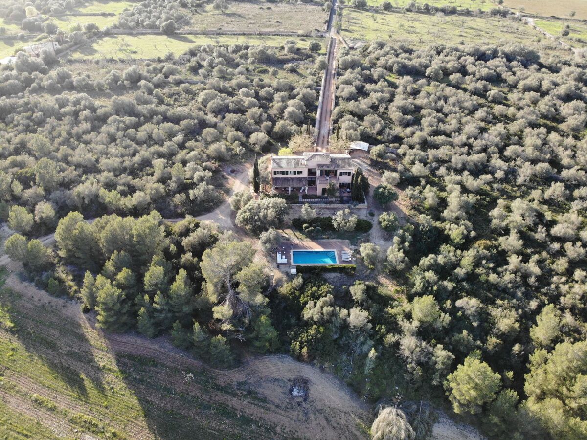 Finca Mallorquina à Son Serra de Marina, 210 000 m² de terrain - Photo 5