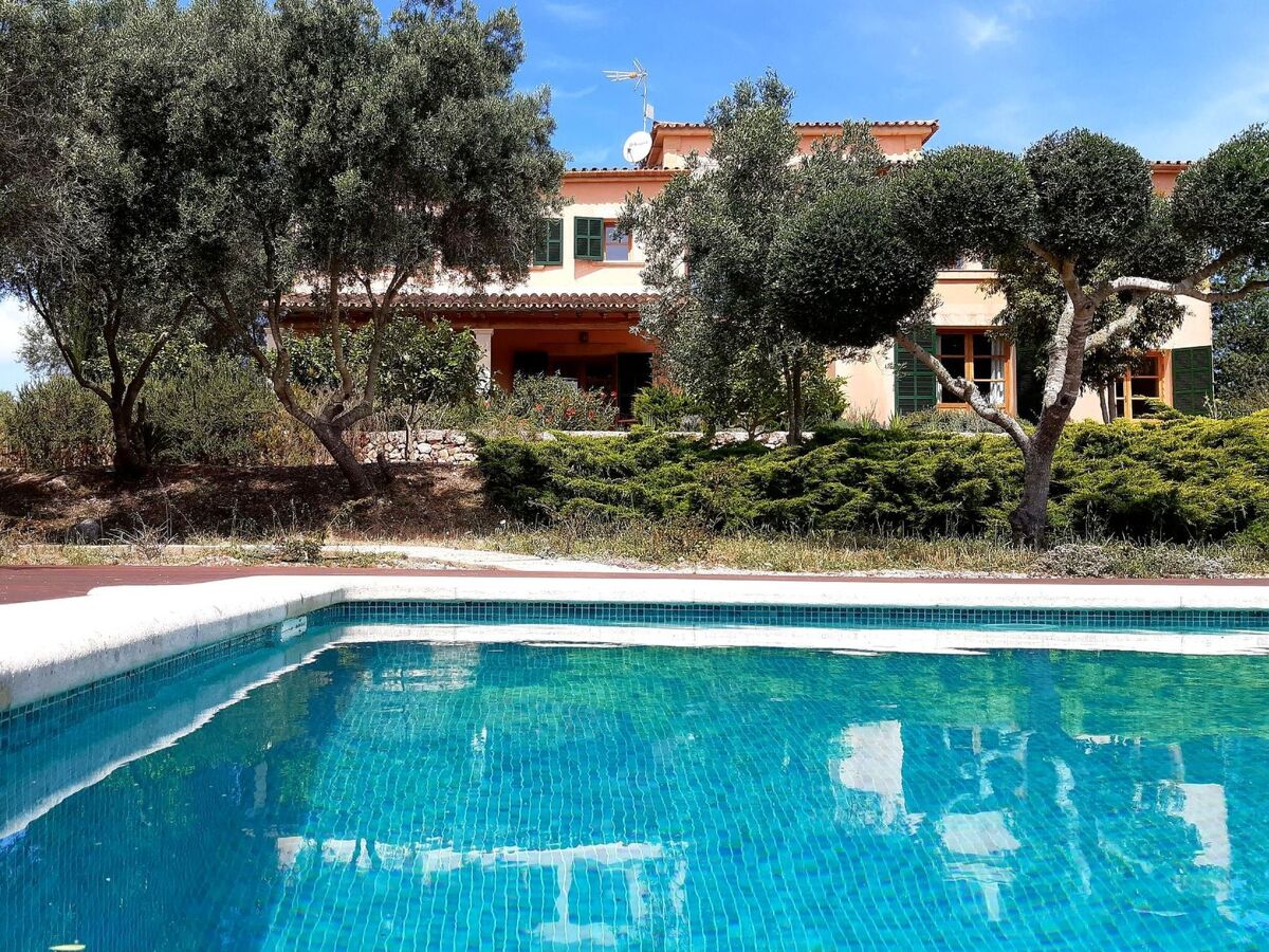 Finca Mallorquina à Son Serra de Marina, 210 000 m² de terrain - Photo 17
