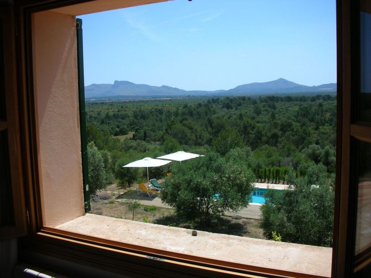 Finca Mallorquina à Son Serra de Marina, 210 000 m² de terrain - Photo 19