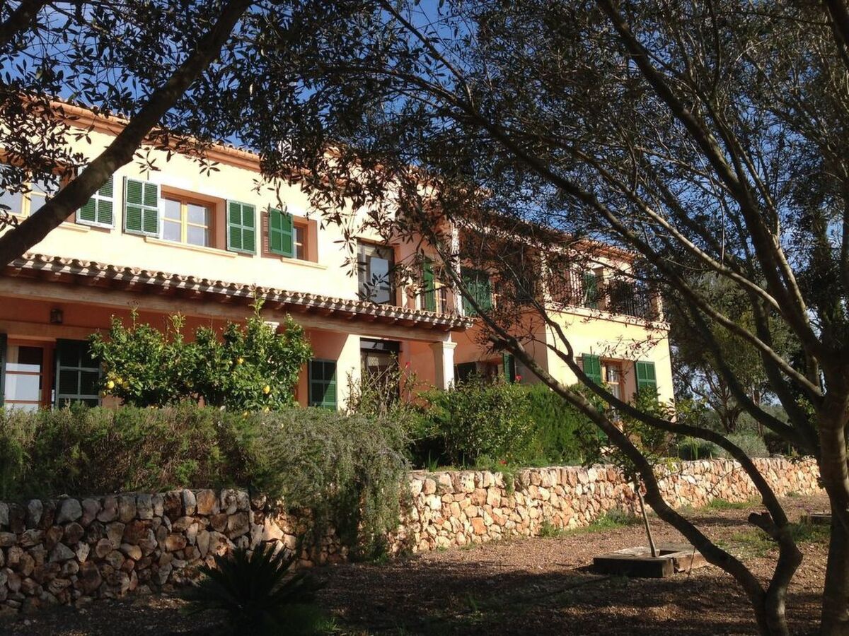 Finca Mallorquina à Son Serra de Marina, 210 000 m² de terrain - Photo 22