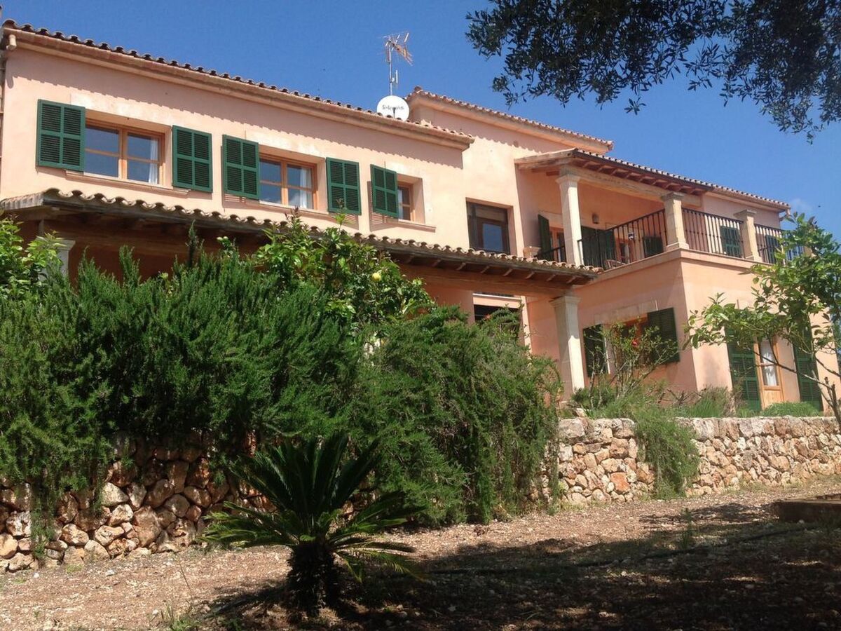 Finca Mallorquina à Son Serra de Marina, 210 000 m² de terrain - Photo 23