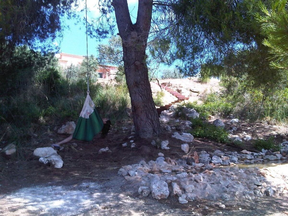 Finca Mallorquina à Son Serra de Marina, 210 000 m² de terrain - Photo 29