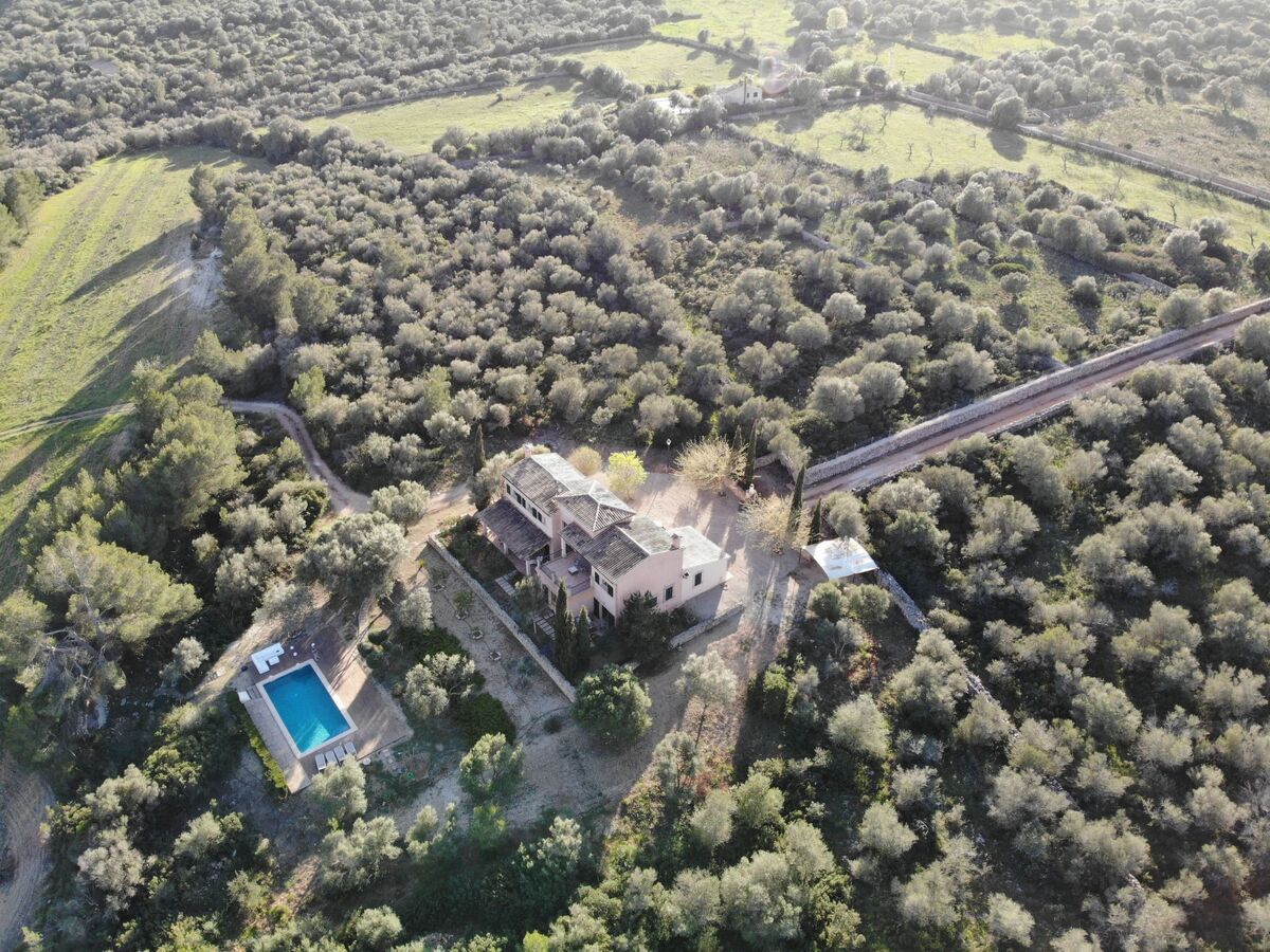 Finca Mallorquina à Son Serra de Marina, 210 000 m² de terrain - Photo 34