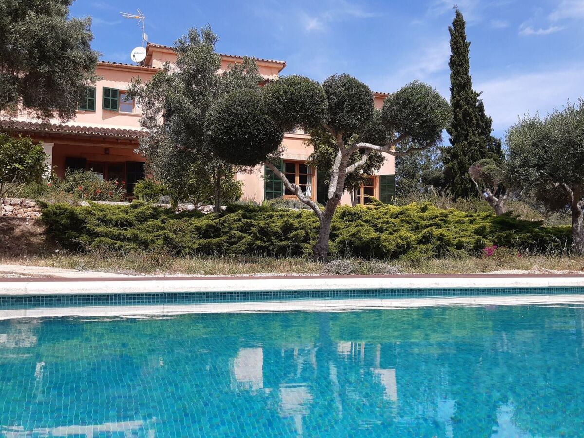 Finca Mallorquina à Son Serra de Marina, 210 000 m² de terrain - Photo 35