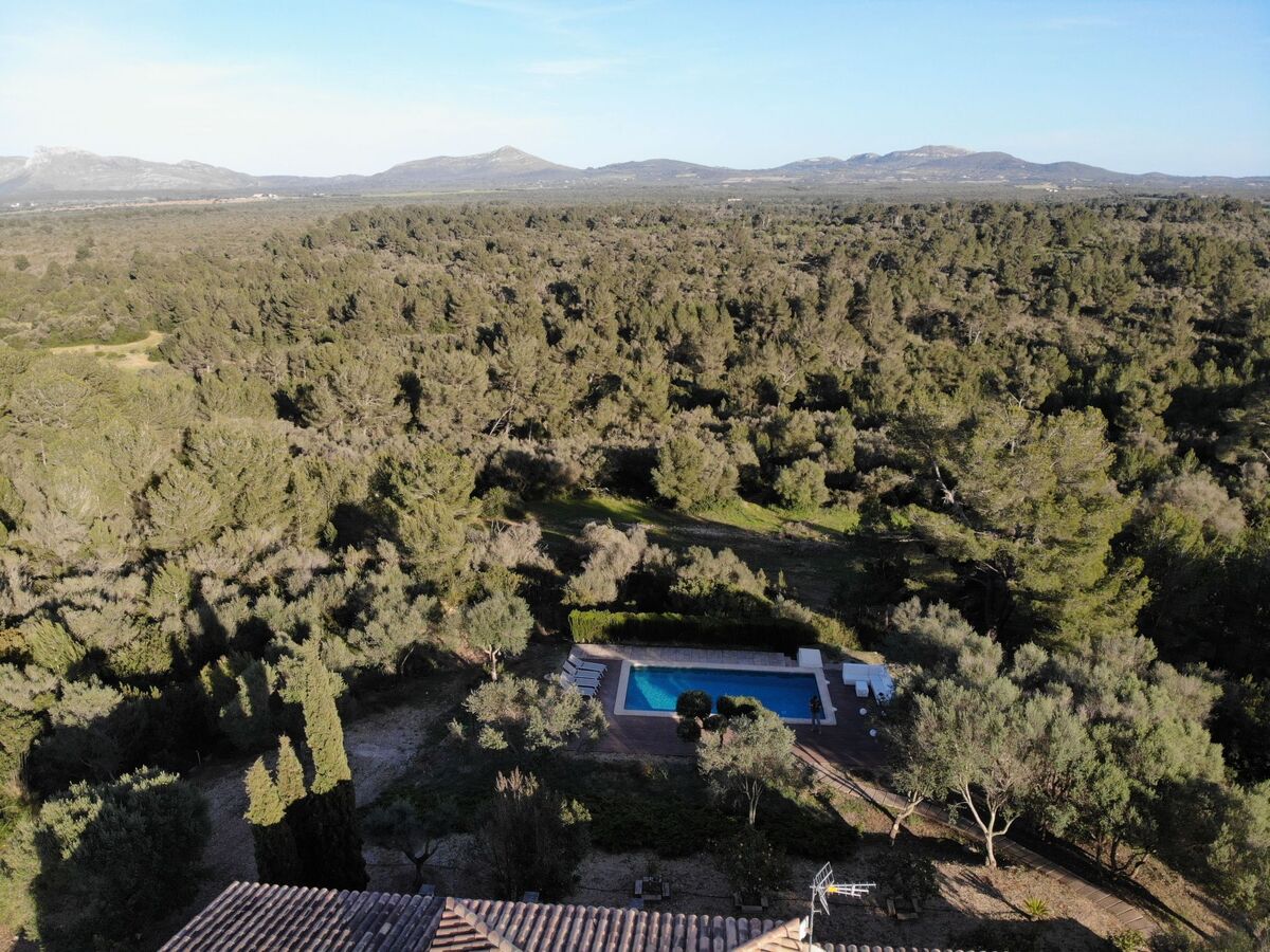 Finca Mallorquina à Son Serra de Marina, 210 000 m² de terrain - Photo 37