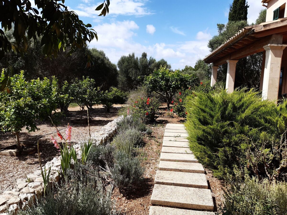Finca Mallorquina à Son Serra de Marina, 210 000 m² de terrain - Photo 38