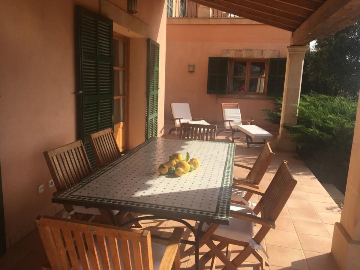 Finca Mallorquina à Son Serra de Marina, 210 000 m² de terrain - Photo 52