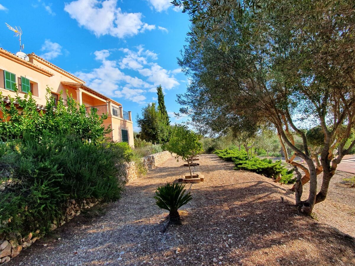 Finca Mallorquina à Son Serra de Marina, 210 000 m² de terrain - Photo 53