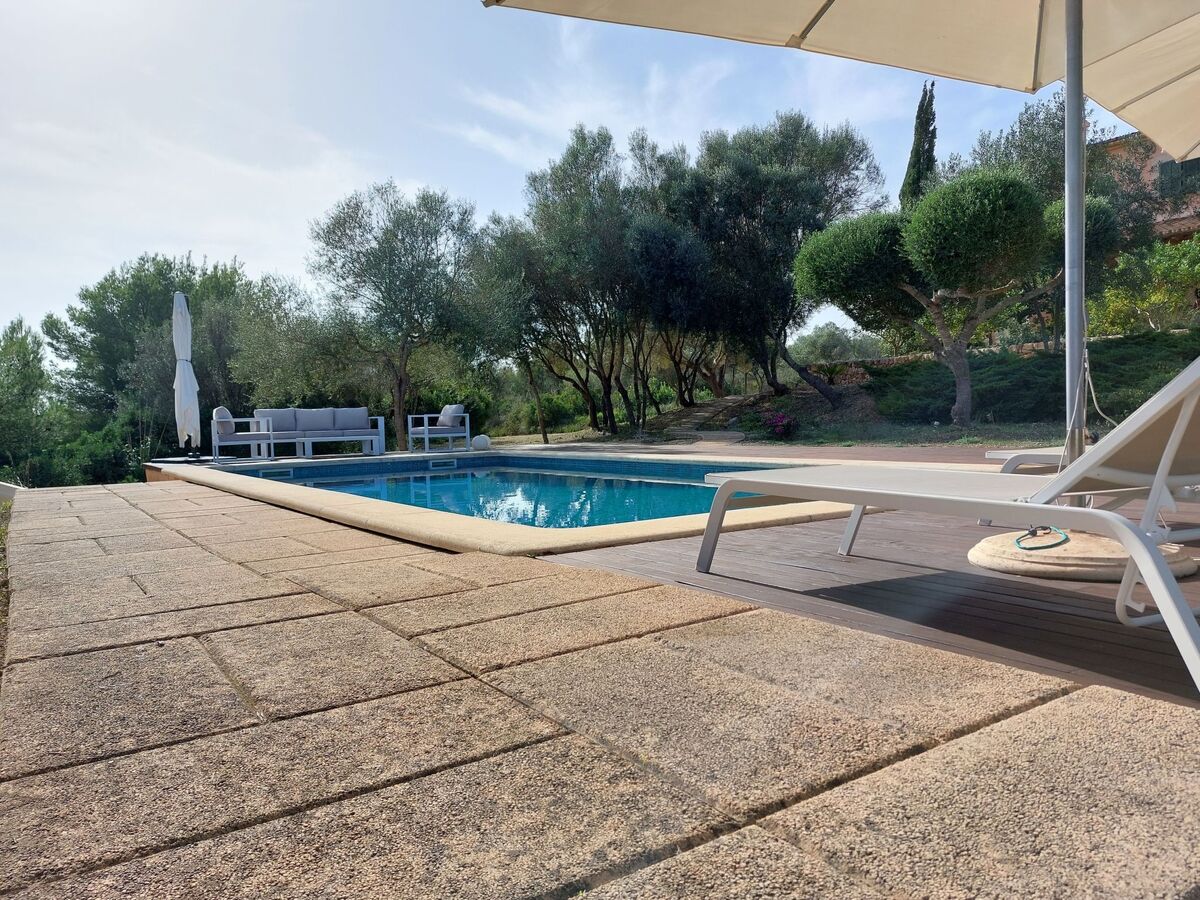 Finca Mallorquina à Son Serra de Marina, 210 000 m² de terrain - Photo 57