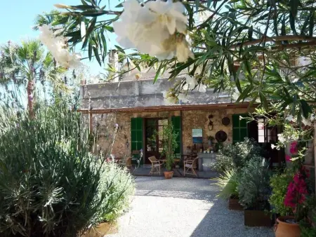 Studio 30 m² avec piscine partagée à Sencelles : photo 13