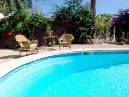 Studio 30 m² avec piscine partagée à Sencelles : photo 22