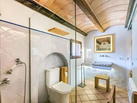 Villa moulin avec piscine 10x4m à Sencelles : photo 36