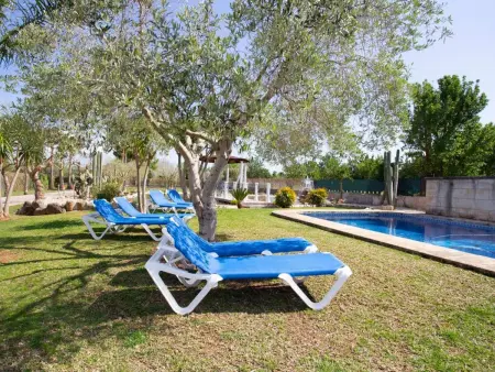 Maison 4 chambres avec piscine et court de tennis à Binissalem : photo 7