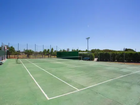 Maison 4 chambres avec piscine et court de tennis à Binissalem : photo 21