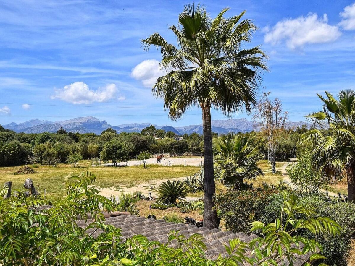 Finca Sa Torre, maison du XVIIe s. avec piscine 10x10m - Photo 12