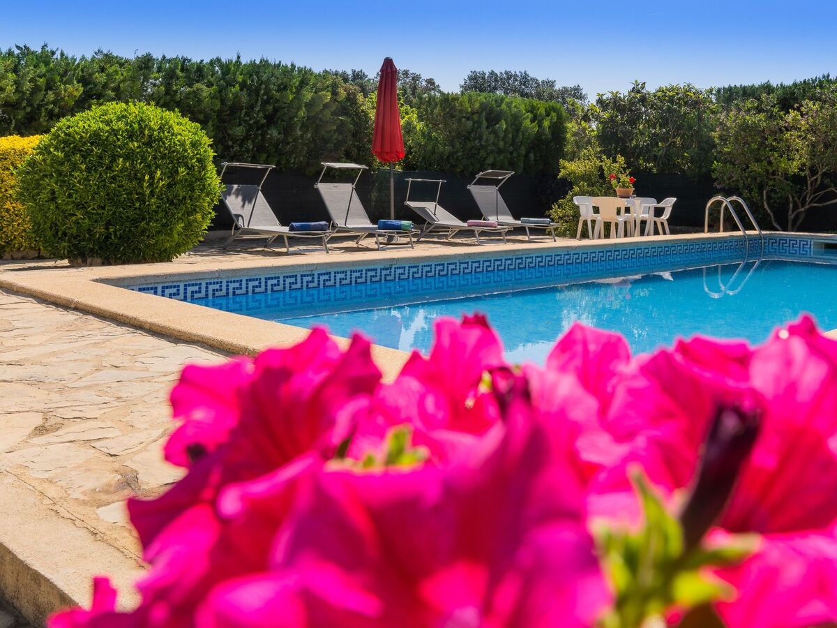 Sa Sini – Maison avec piscine et terrasse à Búger - Photo 3