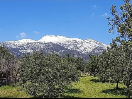 Casa Bella Mirada – Maison 6 pers. à Caimari : photo 39