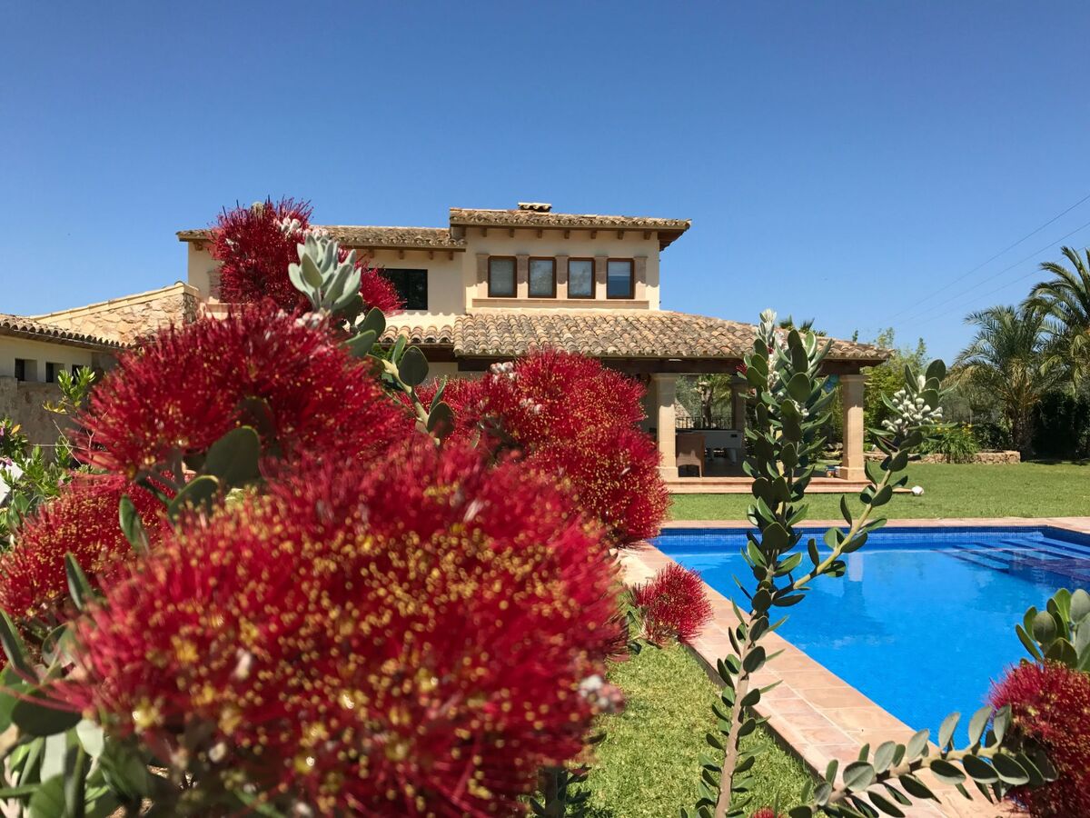 Villa Moliner – Maison 8 pers. avec piscine 12 m et jacuzzi - Photo 3