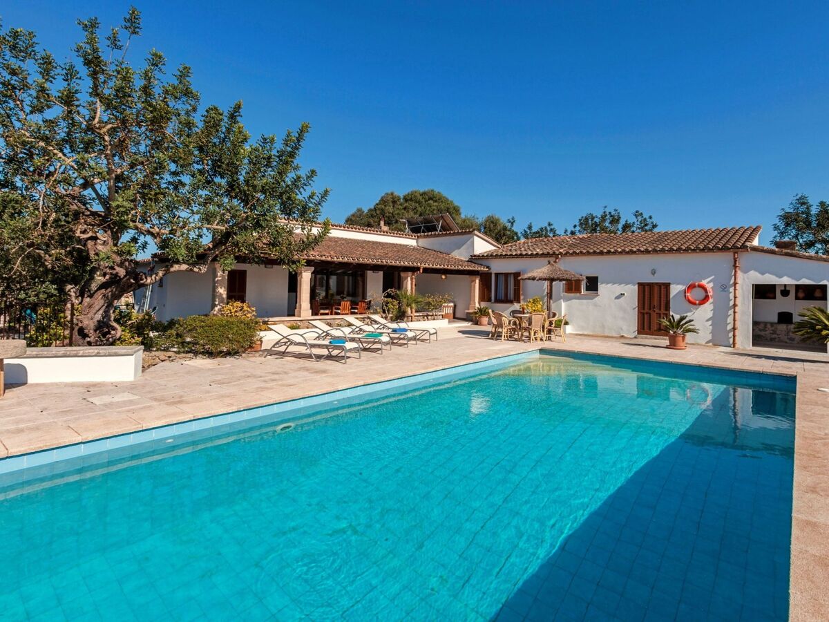 Villa Molinas – piscine privée 9x5m entre Pollensa et Alcudia - Photo 2