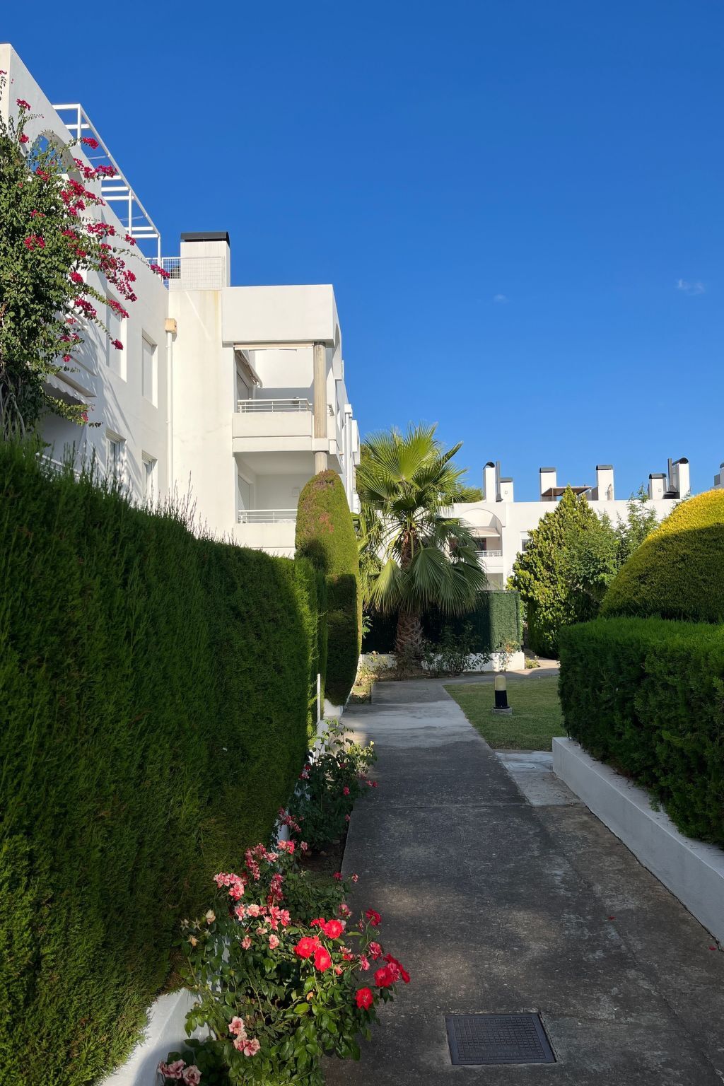 Appartement 3 chambres à Port de Pollença, plage à 150 m - Photo 3