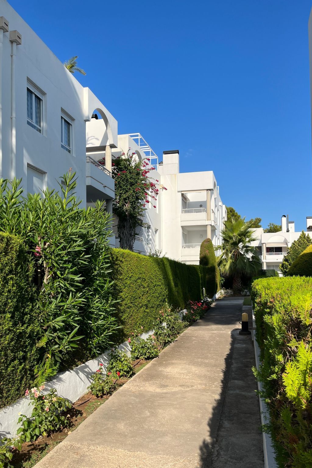 Appartement 3 chambres à Port de Pollença, plage à 150 m - Photo 25