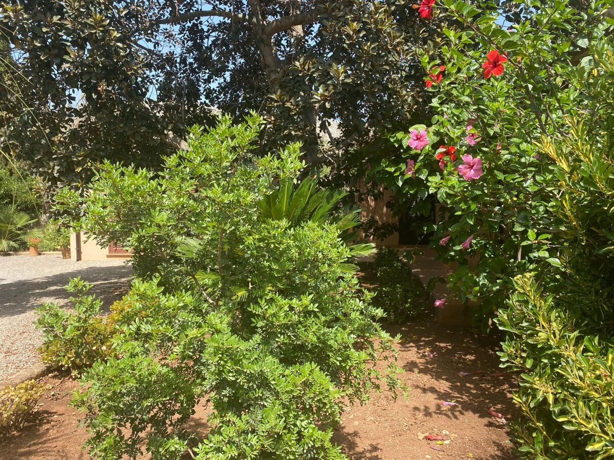 Villa Ca'n Vilanova – Finca avec piscine à 1,5 km de Pollença - Photo 20