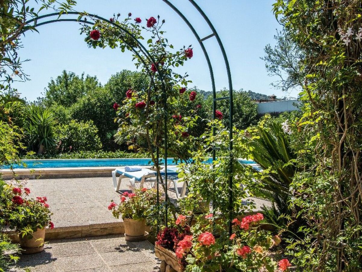 Maison Panada - Mallorca avec piscine privée - Photo 4