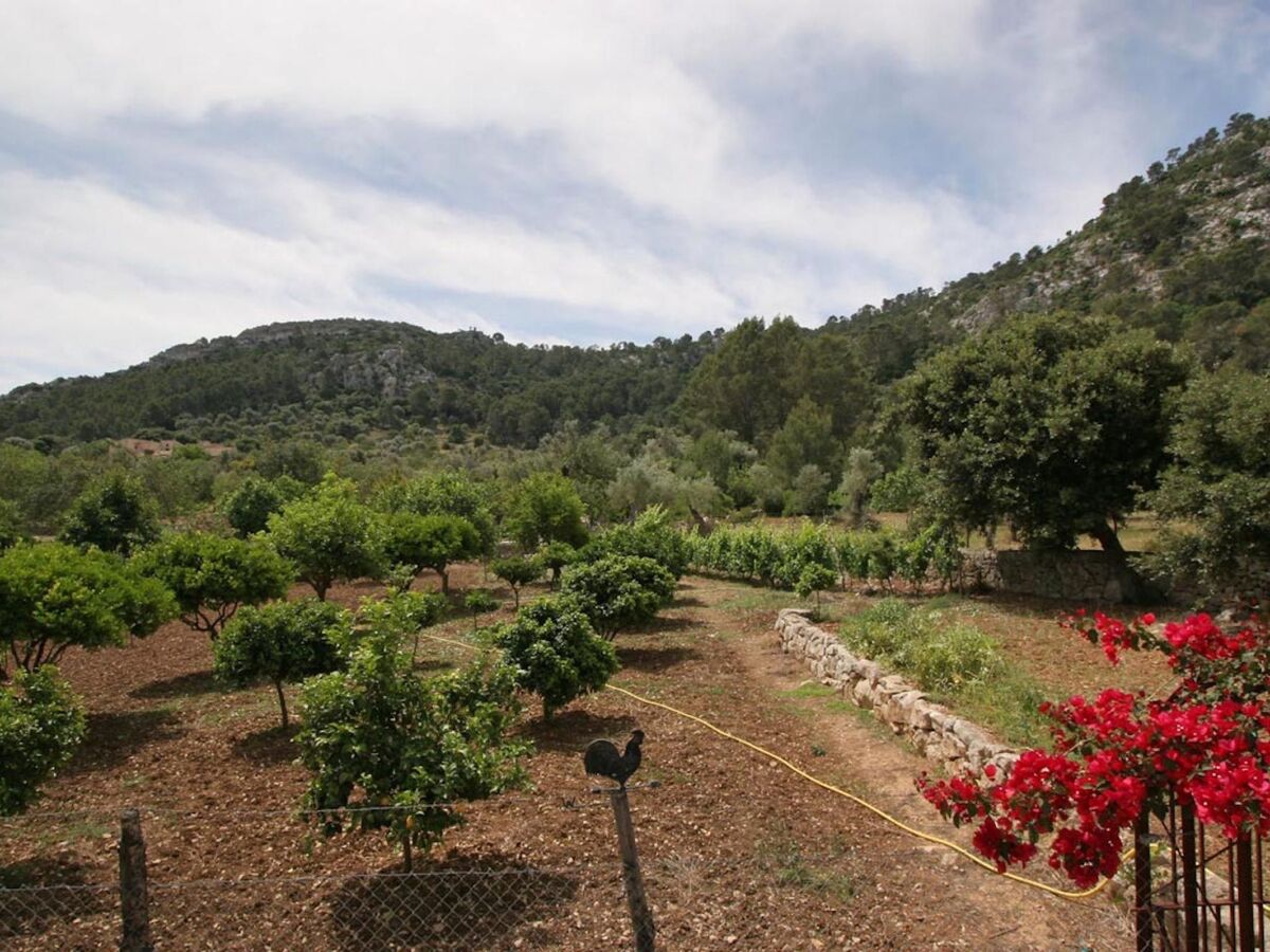 Maison Guillo, demeure de 300 ans à Pollença - Photo 37
