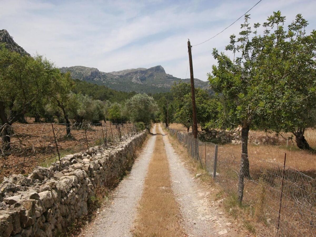 Maison Guillo, demeure de 300 ans à Pollença - Photo 39