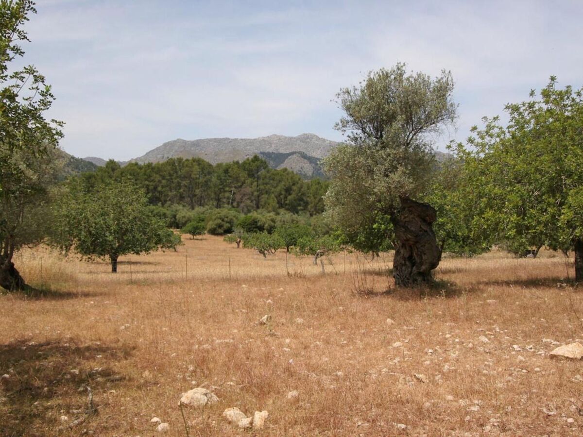 Maison Guillo, demeure de 300 ans à Pollença - Photo 41