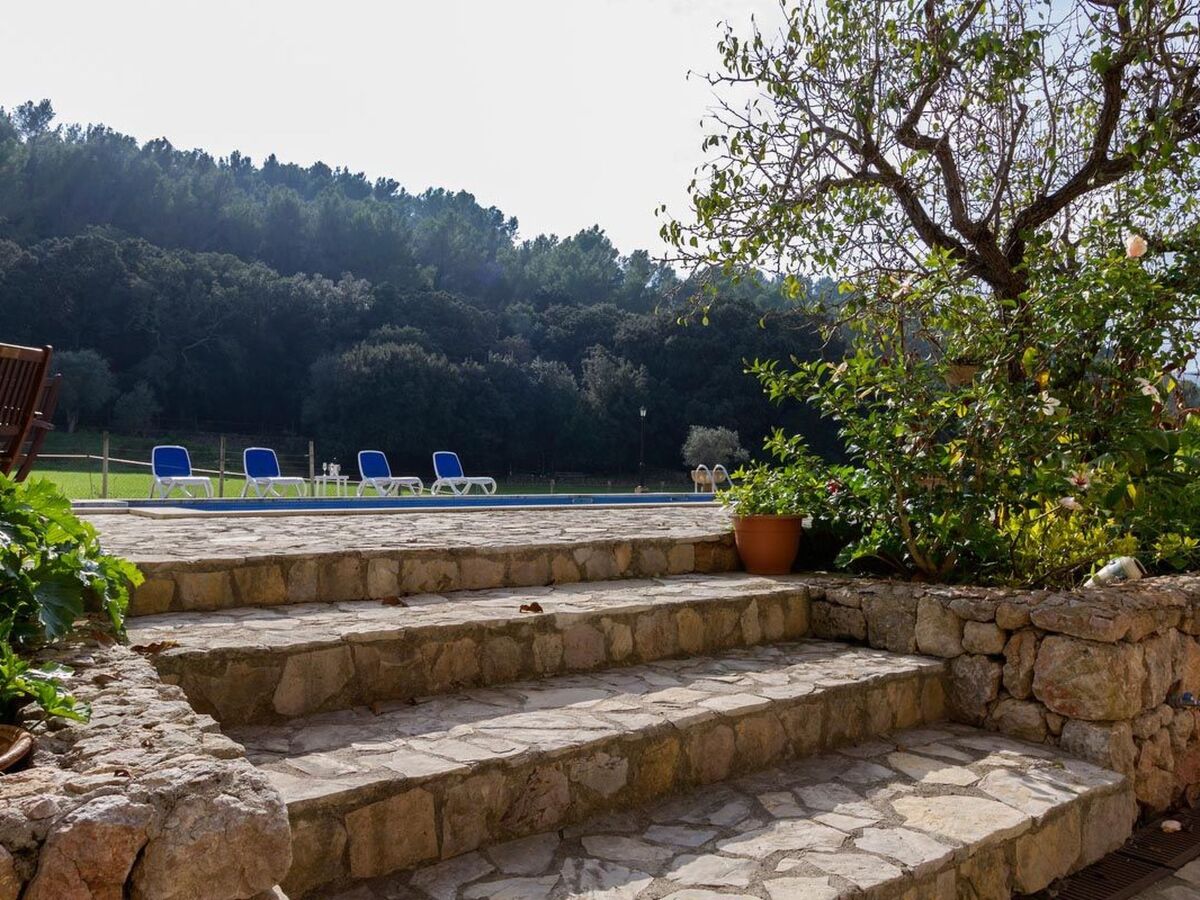 Finca traditionnelle avec piscine à Pollença - Photo 28