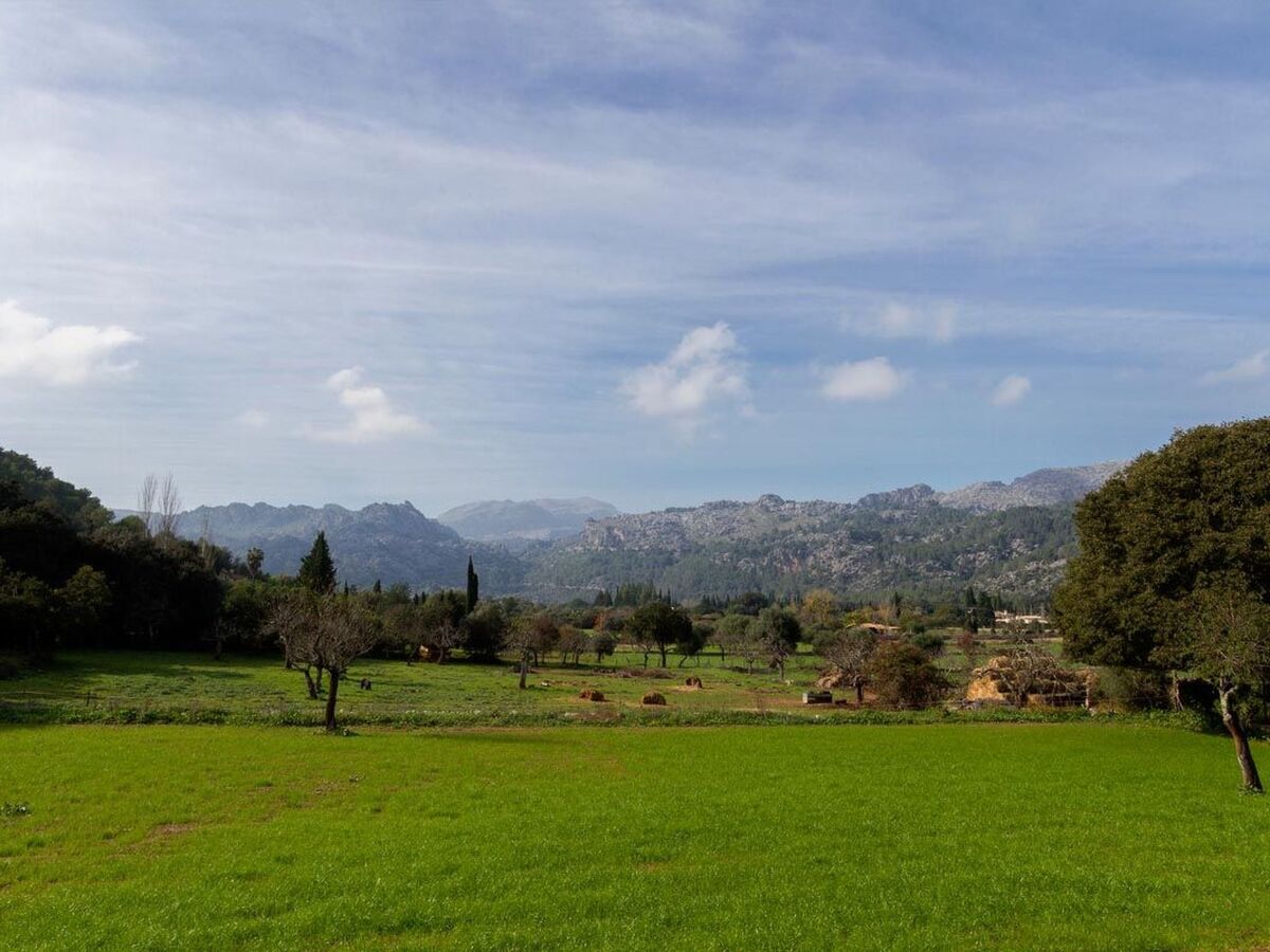 Finca traditionnelle avec piscine à Pollença - Photo 29